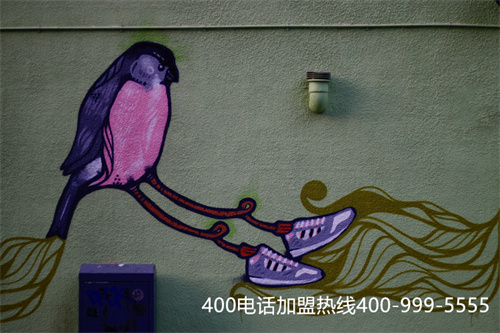 (打400電話有什么用)(打400電話套餐收費標準)