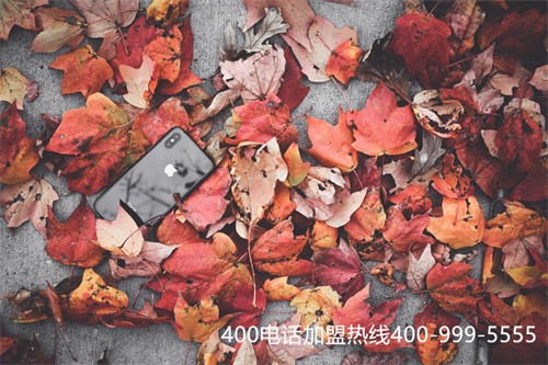 (400電話的基本資費)(400電話資費標準)