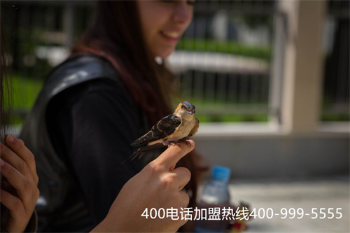 (400電話特點)(400電話每天要多少錢？有哪些功能值得了解？)